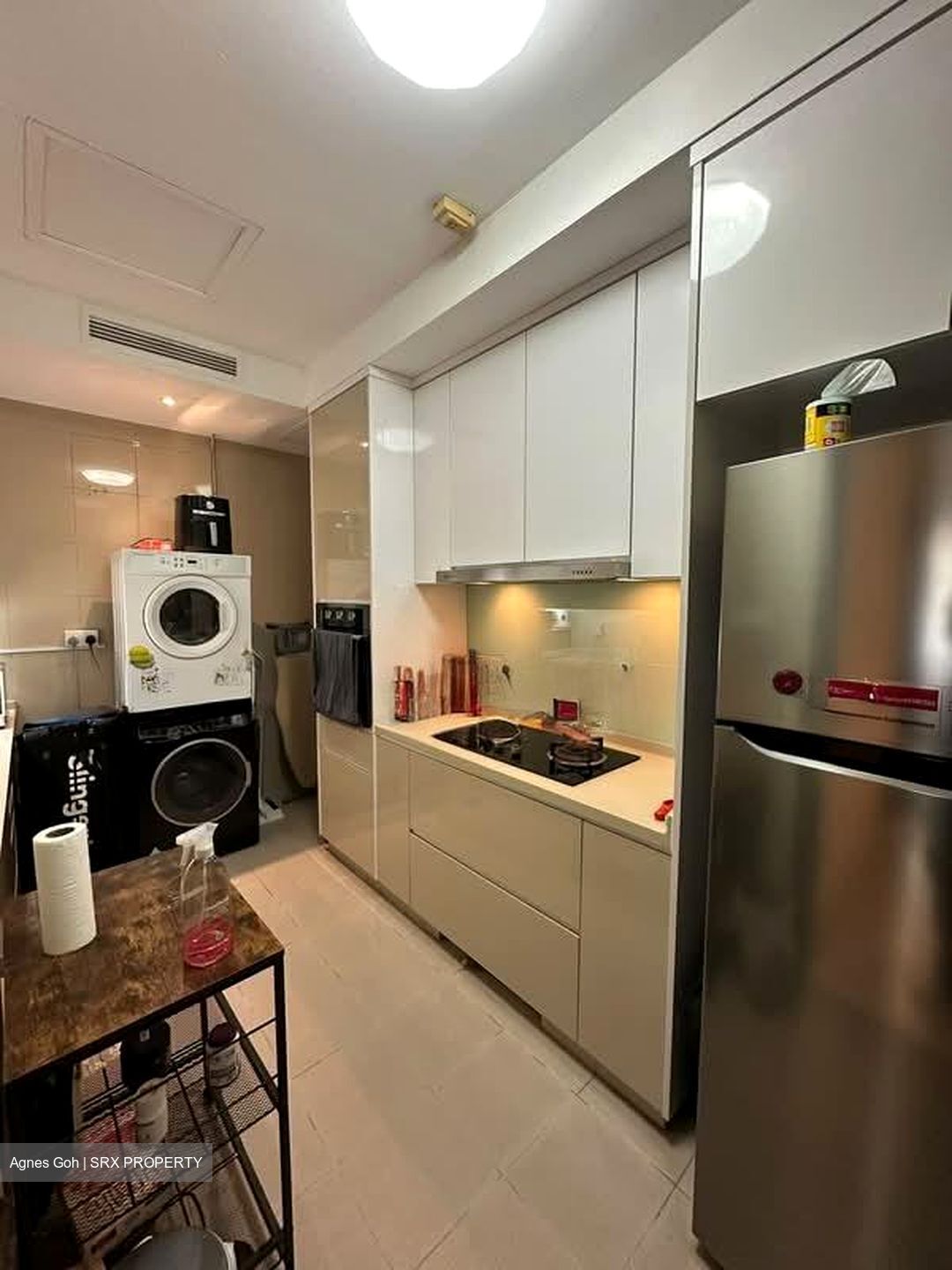 Valley Park (D10), Condominium #588872081